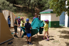 PHOTO-2019-07-20-17-24-27