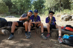 PHOTO-2019-07-23-14-46-58_1