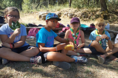 PHOTO-2019-07-25-12-01-37_4