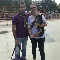 JuntaMunicipalDistritoNorteDeMurcia