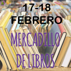 MERCADILLOS DE LIBROS