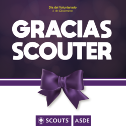 GRACIAS SCOUTER
