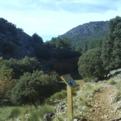 campamento Alfaguara